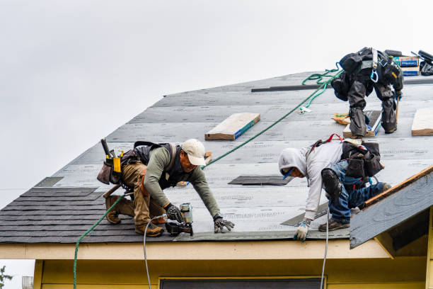 Professional Roofing technician working in Rochelle, IL